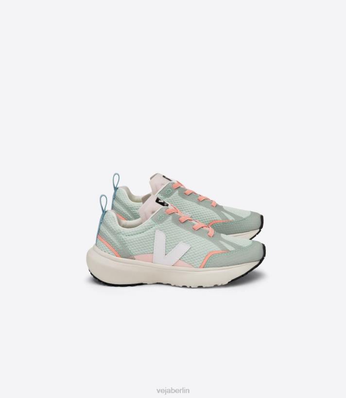 Veja 46FB390 Kanarische elastische Schnürsenkel Alveomesh Matcha weiß